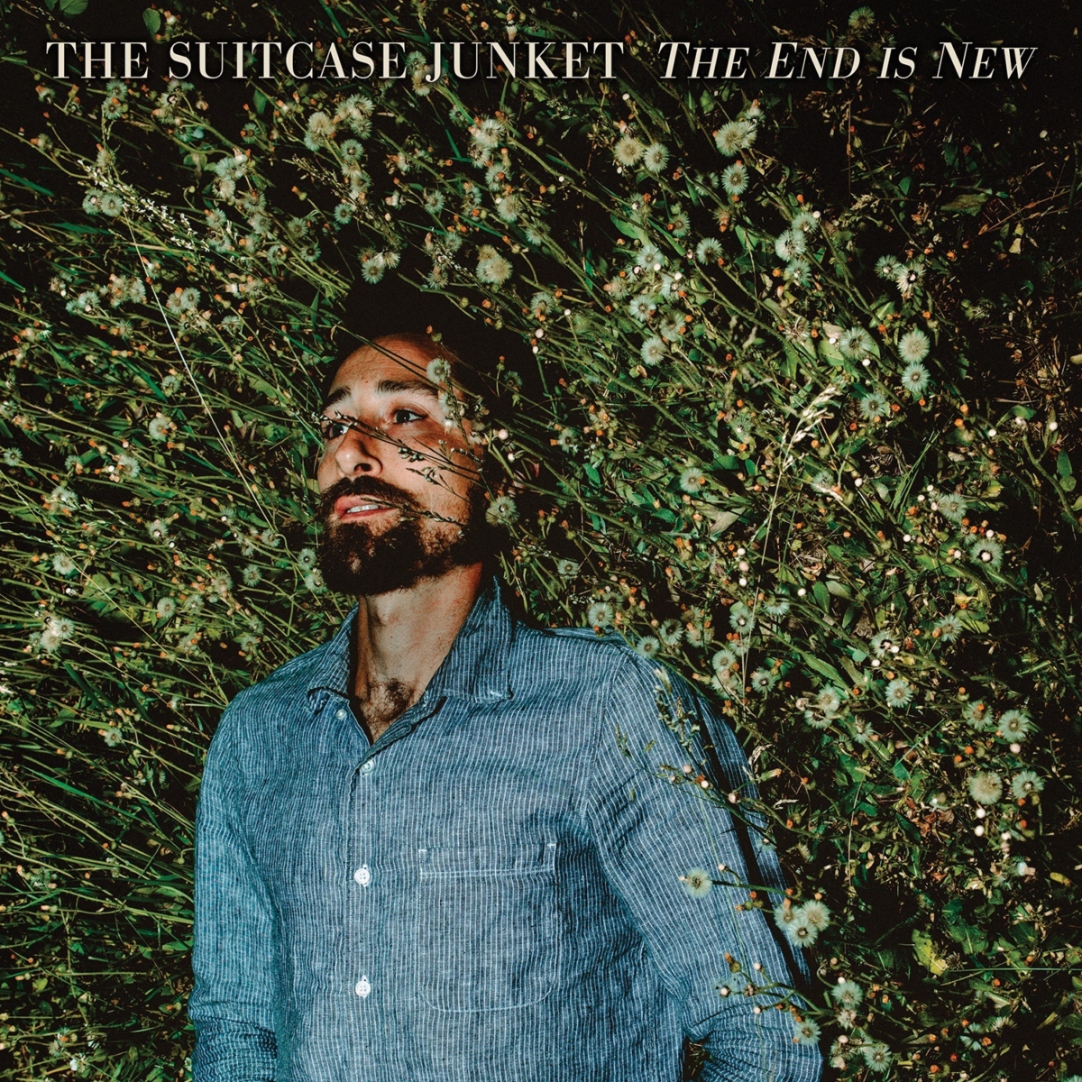 Album Cover: The Suitcase Junket - The End is New